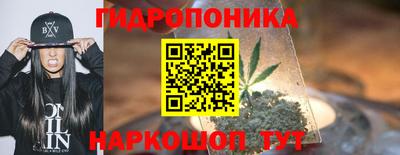 PSILOCYBIN Донской