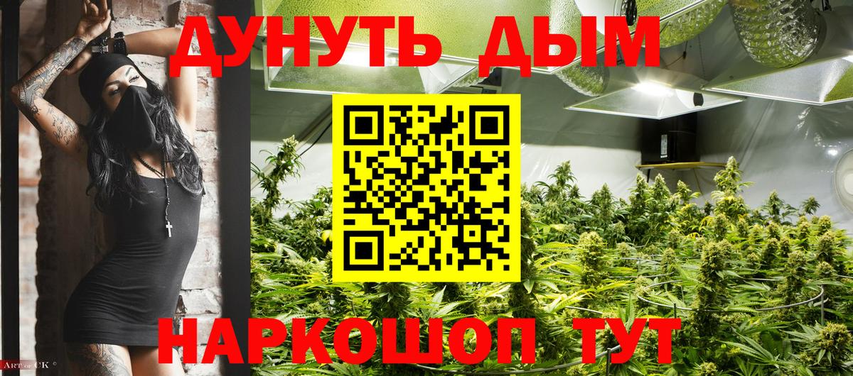Бошки Шишки конопля Ленинск-Кузнецкий